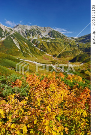 秋の立山連峰　ハイキング 105151108