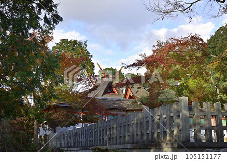 吉田神社　末社　斎場所大元宮の紅葉 105151177