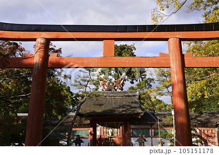 吉田神社 末社 斎場所大元宮の紅葉 吉田神社 末社 斎場所大元宮の紅葉 105151178