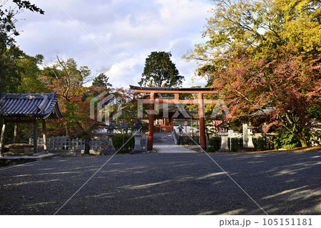 吉田神社 末社 斎場所大元宮の紅葉 吉田神社 末社 斎場所大元宮の紅葉 105151181
