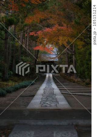 鎌倉紅葉散歩 105151214