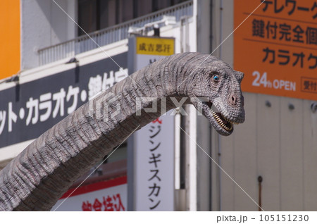 福井駅前の恐竜モニュメント　フクイティタン 105151230