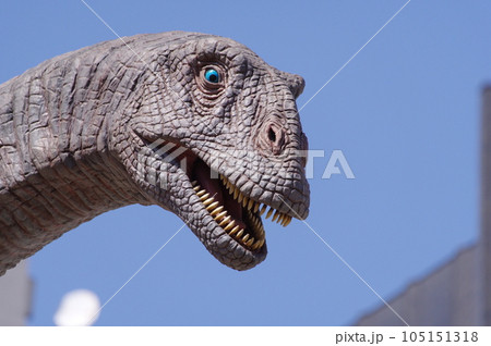 福井駅前の恐竜モニュメント フクイティタン 福井駅前の恐竜モニュメント フクイティタン 105151318