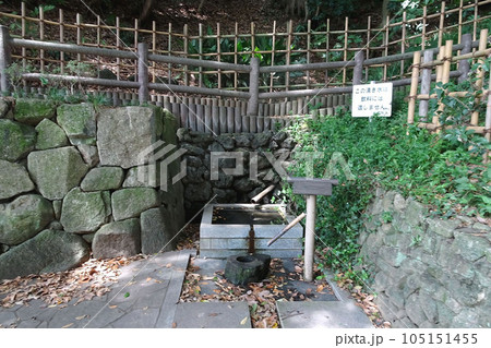 水が湧き続けている羅漢の井の正面【里見公園・国府台城跡】千葉県市川市 水が湧き続けている羅漢の井の正面【里見公園・国府台城跡】千葉県市川市 105151455