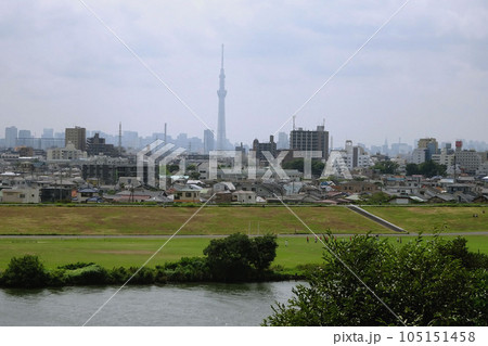 国府台城跡から見る江戸川と対岸の東京の町並み【里見公園】千葉県市川市 105151458