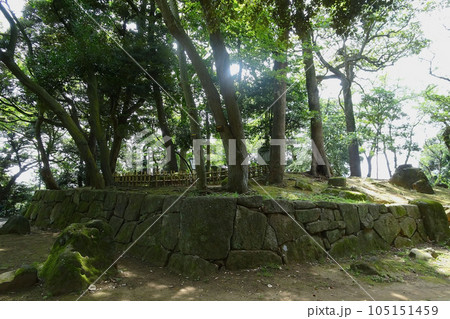 夜泣き石と里見軍将士の供養塔がある高台【里見公園・国府台城跡】千葉県市川市 105151459