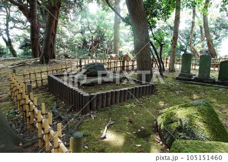 夜泣き石の横に石碑が並ぶ国府台城跡【里見公園】千葉県市川市 105151460