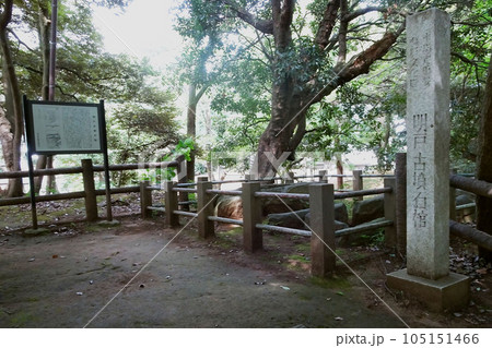明戸古墳の石棺と石標【国府台城跡・里見公園】千葉県市川市 105151466
