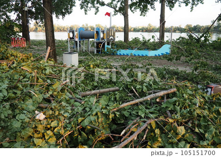 Aftermath of the hurricane July 19, 2023 beach Sremska Mitrovica, Serbia. Broken trees, mess on the streets. Broken branches, bent trunk. Chips and trash. State of emergency after a catastrophic storm 105151700