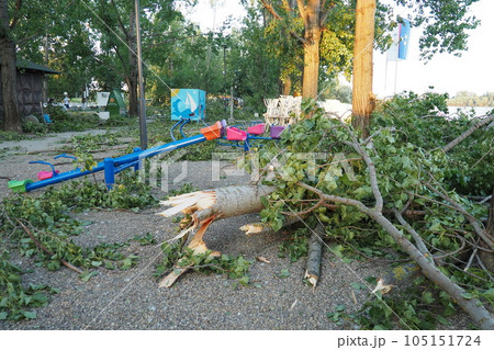 Aftermath of the hurricane July 19, 2023 beach Sremska Mitrovica, Serbia. Broken trees, mess on the streets. Broken branches, bent trunk. Playground. State of emergency after a catastrophic storm 105151724