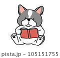 本を読んでいるフレンチブルドッグ 105151755
