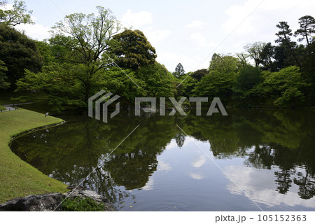京都仙洞御所 北池 女院御所の池 新緑 京都仙洞御所 北池 女院御所の池 新緑 105152363
