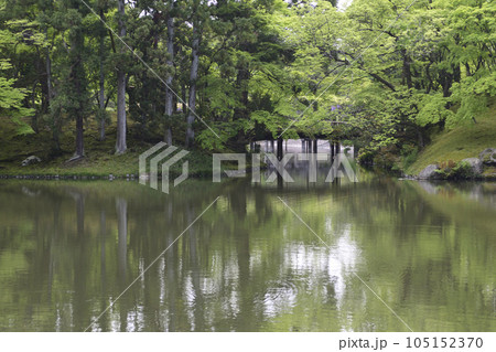 京都仙洞御所　北池　女院御所の池　新緑 105152370