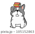 本を乗せているフレンチブルドッグ 105152863