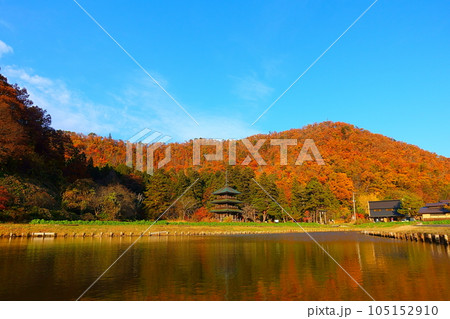 安久津八幡神社　紅葉　黄葉 105152910