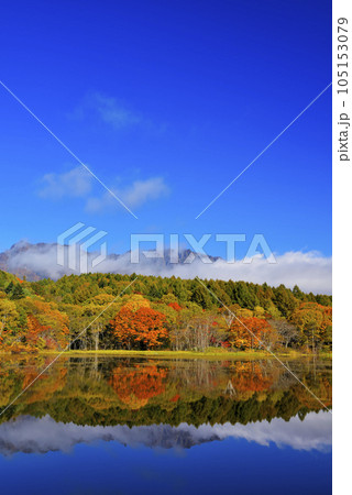 戸隠山と小鳥ヶ池 105153079
