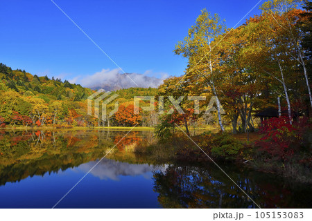 戸隠山と小鳥ヶ池 105153083