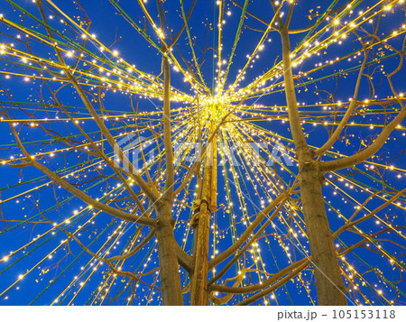 多治見駅北口 虎渓用水広場のイルミネーション 2023年2月 多治見駅北口 虎渓用水広場のイルミネーション 2023年2月 105153118