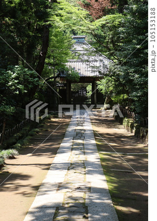 寿福寺　参道 105153188