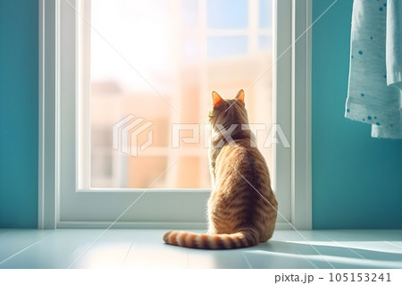 窓から外を眺める猫1 AI生成画像 窓から外を眺める猫1 AI生成画像 105153241