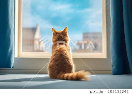 窓から外を眺める猫3　AI生成画像 105153243