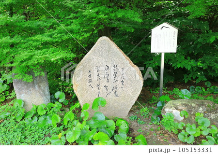 九州国立博物館 大伴旅人万葉歌碑 九州国立博物館 大伴旅人万葉歌碑 105153331