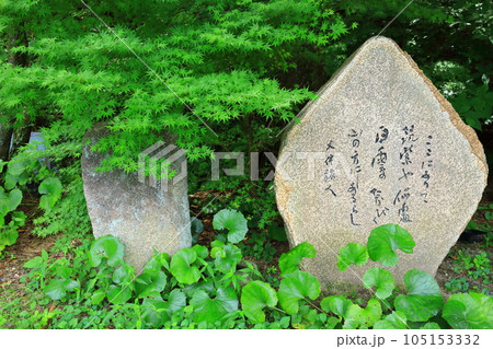 九州国立博物館 大伴旅人万葉歌碑 九州国立博物館 大伴旅人万葉歌碑 105153332