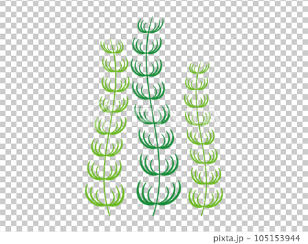 goldfish algae icon goldfish algae icon 105153944