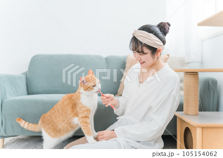 家・猫カフェで猫におやつをあげる日本人女性（餌） 105154062