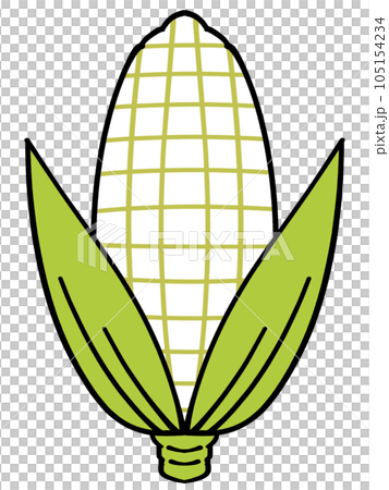 白いとうもろこしのイラスト素材 105154234
