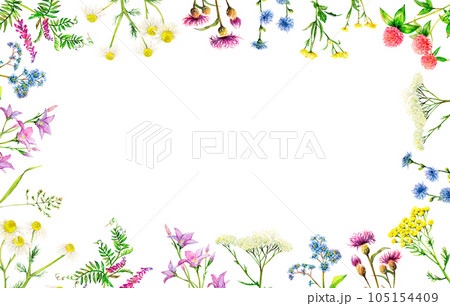 Frame from meadow wildflowers - field bell, clover, yarrow, camomile, forget-me-not, cornflower, mouse pees, chicory, tansy. Watercolor floral natural illustration on white background for photo, cards 105154409