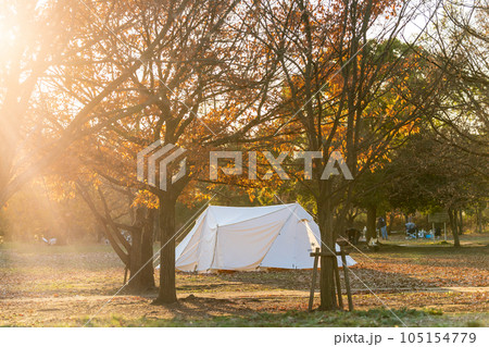 秋のキャンプ場の風景 105154779