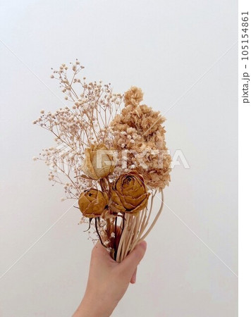ドライフラワーを持つ手 105154861