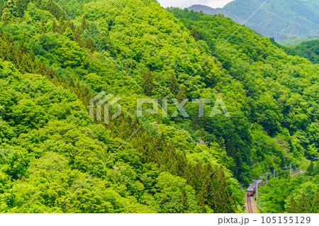 しなの鉄道と新緑 しなの鉄道と新緑 105155129