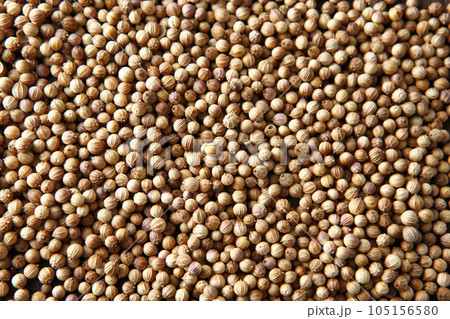 全面コリアンダーシード 全面コリアンダーシード 105156580