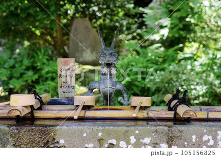 鎌倉 妙本寺7月 6 鎌倉 妙本寺7月 6 105156825