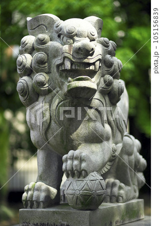 高崎市 新町 於菊稲荷神社 狛犬 高崎市 新町 於菊稲荷神社 狛犬 105156839