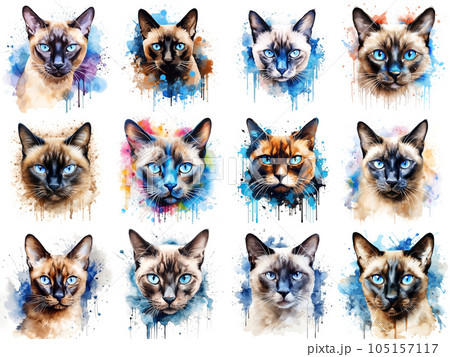 Set of cats painted in watercolor on a white background in a realistic manner, colorful, rainbow. Set of cats painted in watercolor on a white background in a realistic manner, colorful, rainbow. 105157117