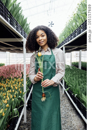 Female hands of african girl in green apron holding tulip against the backdrop of greenhouse 105157689