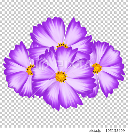 Flowers Color Nature 105158409