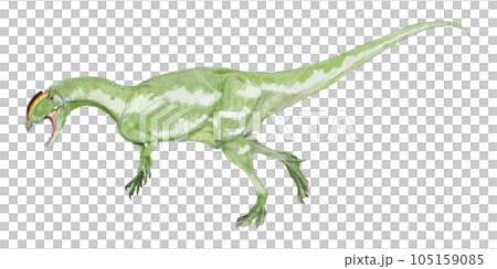 Liliensternus, a dinosaur from the late Triassic period, a member of the Dilophosaurus from Europe Liliensternus, a dinosaur from the late Triassic period, a member of the Dilophosaurus from Europe 105159085