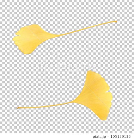 落ち葉のイラスト リアル 落ち葉のイラスト リアル 105159136