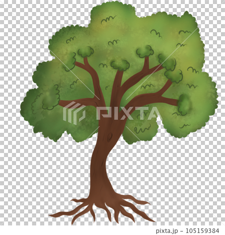 Tree Tree 105159384