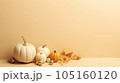 halloween with pumpkin background, background with pumpkin, halloween with copy space background 105160120