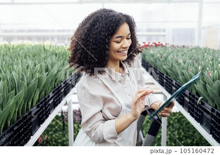 Young smiling mixed race woman uses digital tablet to grow tulips of different types. Young smiling mixed race woman uses digital tablet to grow tulips of different types. 105160472