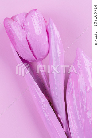 Pink tulip on a pink background. Flower minimalist. 105160714