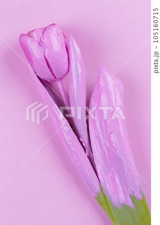 Pink tulip on a pink background. Flower minimalist. 105160715