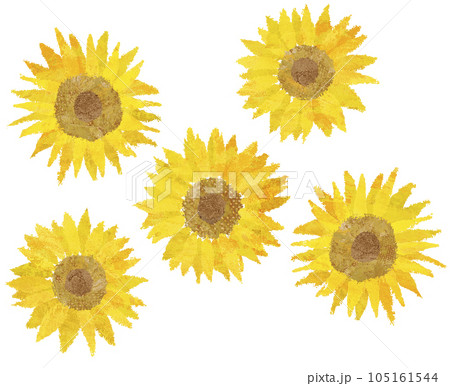 手描き風ひまわりの花 手描き風ひまわりの花 105161544