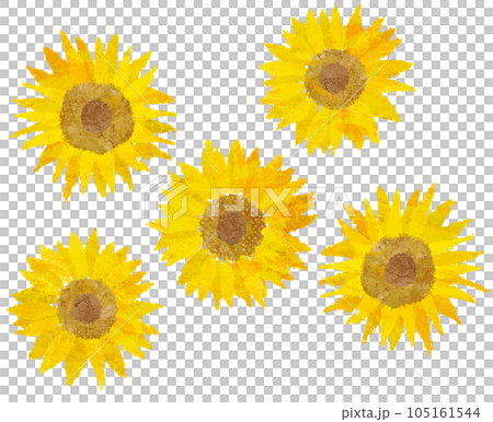 手描き風ひまわりの花 手描き風ひまわりの花 105161544