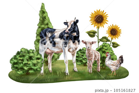 Horizontal composition of cow, lamb and chicken. Farm animals graze in a field with bushes and sunflowers. Digital illustration on a white background. Template for design, postcards, posters Horizontal composition of cow, lamb and chicken. Farm animals graze in a field with bushes and sunflowers. Digital illustration on a white background. Template for design, postcards, posters 105161827